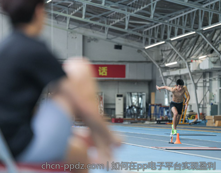 如何在pp电子平台实现盈利