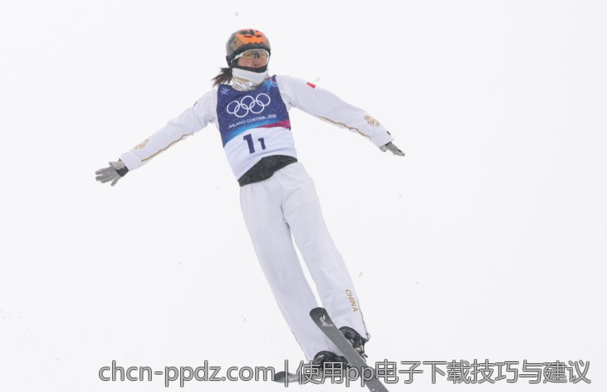 使用pp电子下载技巧与建议