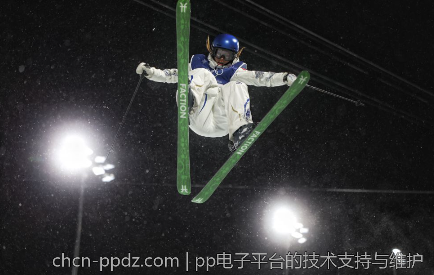 pp电子平台的技术支持与维护